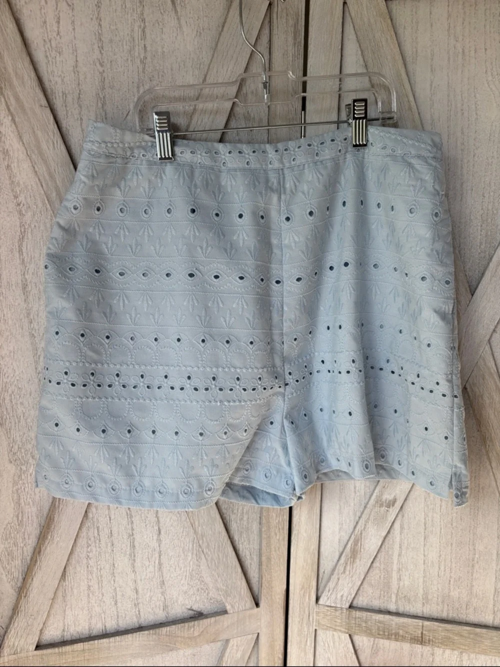 Blue Rain by Francesca's Light Blue Eyelet Lace Shorts - Large